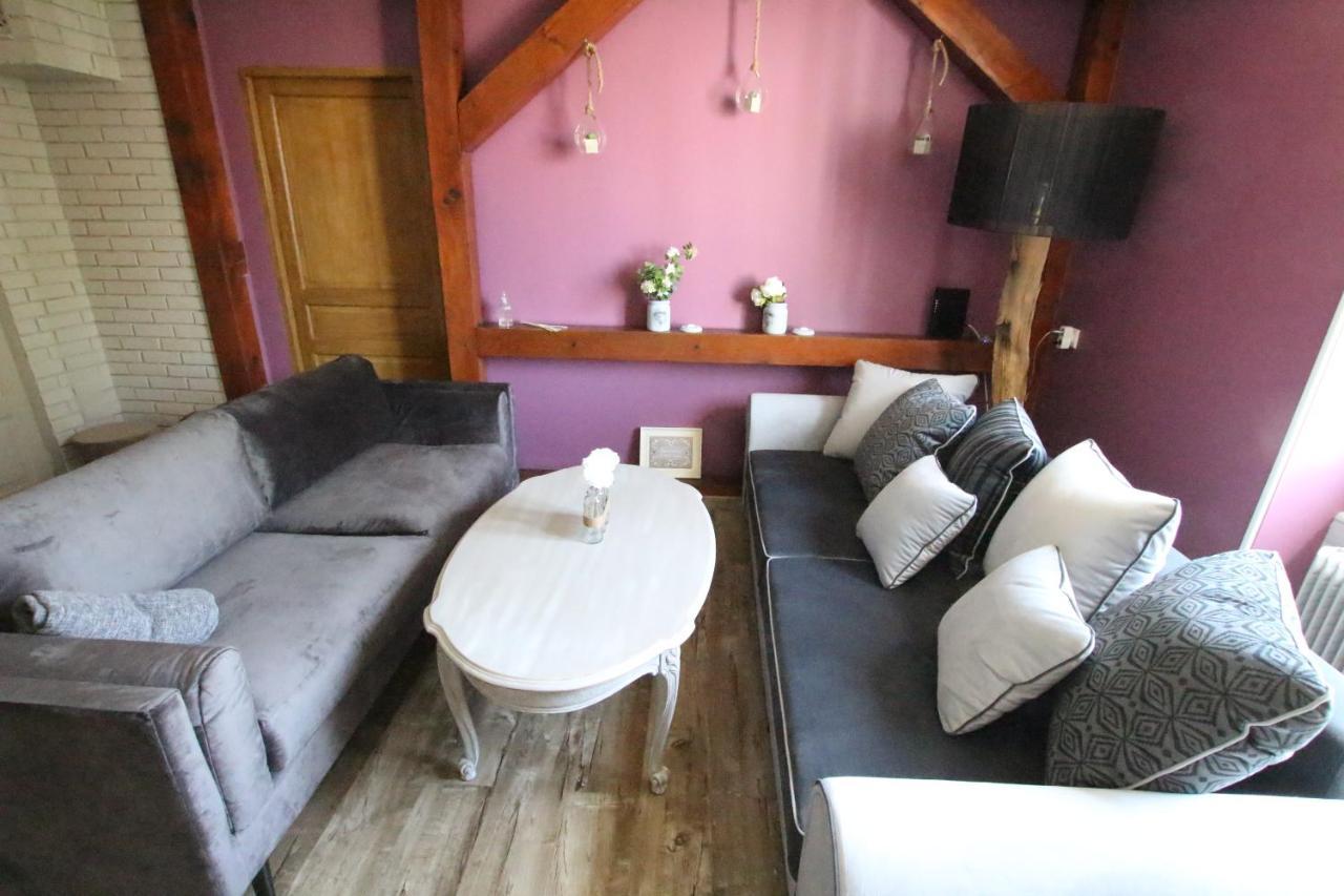 Colmar City Center - Apartment Duplex Marigny - Bookingalsace מראה חיצוני תמונה